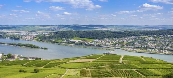 Studentenheim Bingen Standort #1
